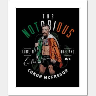 Conor McGregor The Notorious Pose Posters and Art